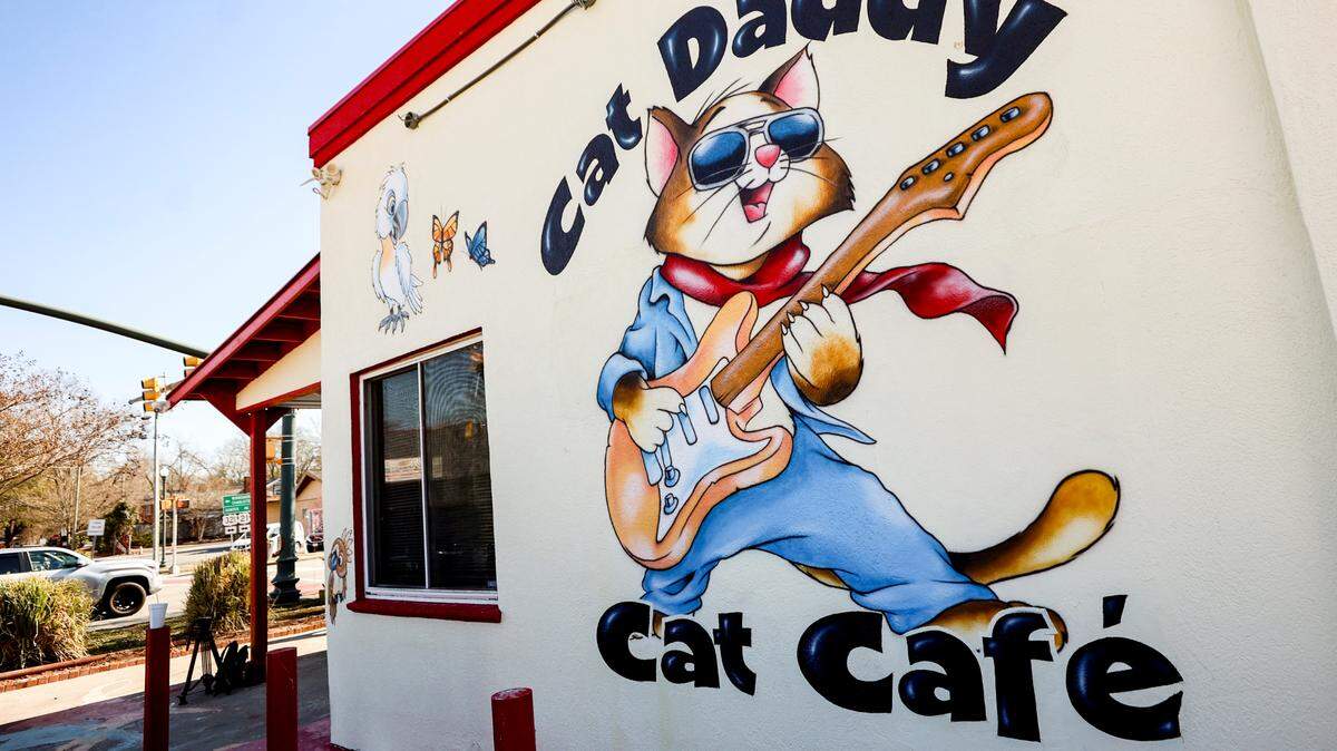 Cat Daddy’s Cat Café opened on North Main Street. The owners, Mohammad Saadeddin and Melissa Peterson, designed a cafe around a space for feral cats they rescued from the neighborhood.