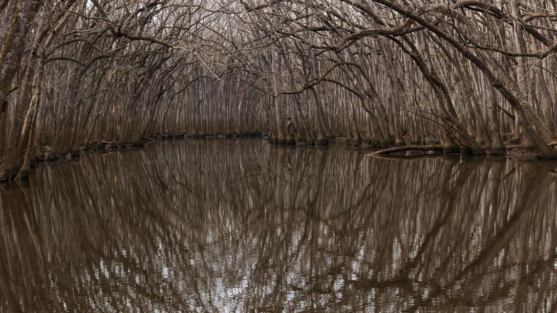 The site of a wetland restoration project around Mill Creek in Richland County on Thursday, February 22, 2024. This project will offset the wetlands lost to developing the new Scout Motors electric vehicle plant.