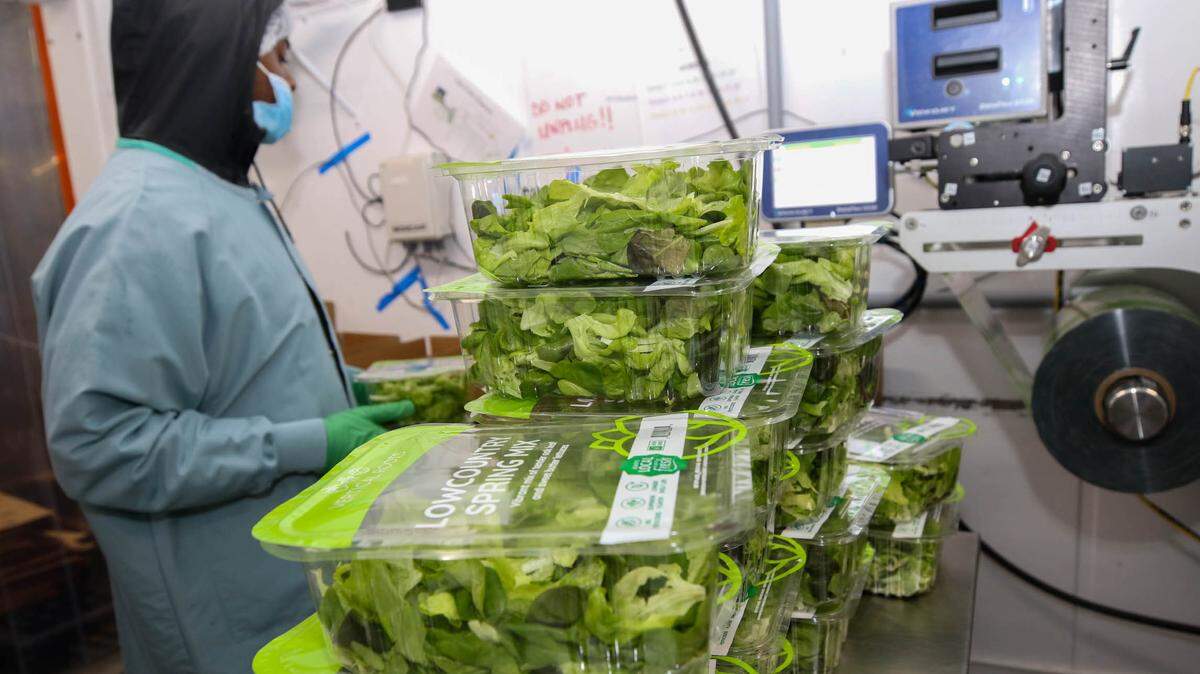 Vertical Roots is the largest hydroponic container farm in the country. They grow and package lettuce varieties and have recently implemented a packaging process that reduces plastic with a resealable film.
