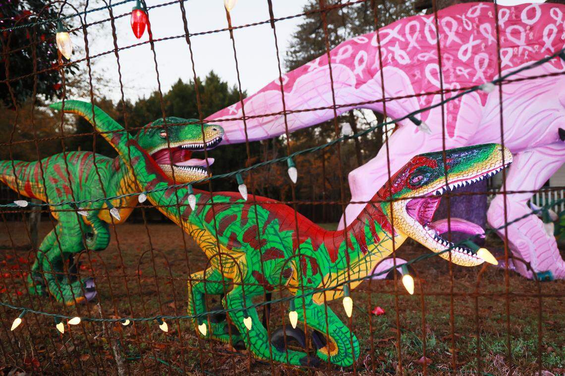 Christopher Price shows dinosaurs he made out of insulation foam outside his home on Wednesday, December 11, 2024. The dinosaurs are visible from Augusta Road in Lexington, South Carolina