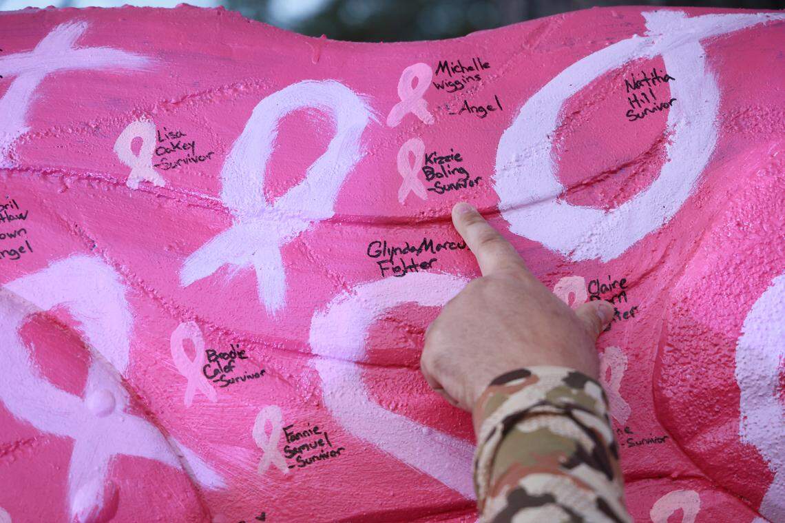 Christopher Price shows dinosaurs he made out of insulation foam outside his home on Wednesday, December 11, 2024. The dinosaurs are visible from Augusta Road in Lexington, South Carolina