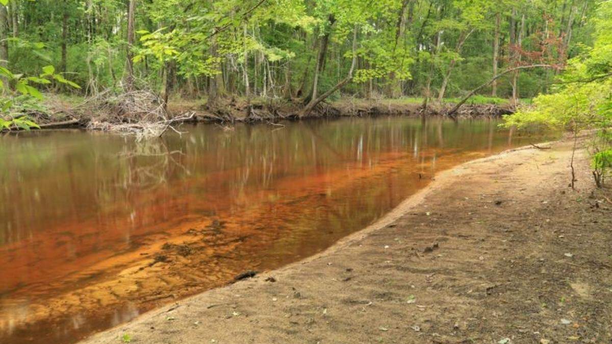 The ACE Basin is a nationally known nature preserve that is considered a model of public-private conservation efforts. It lies in eastern South Carolina.