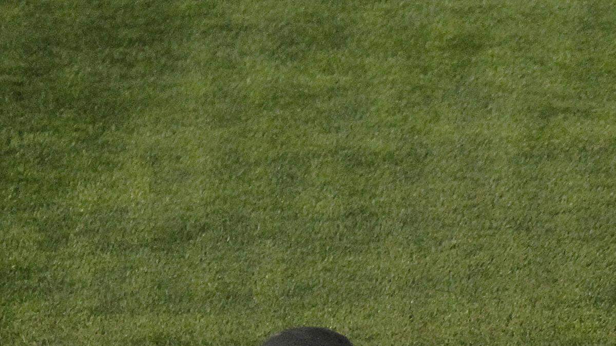 South Carolina Clemson Baseball
