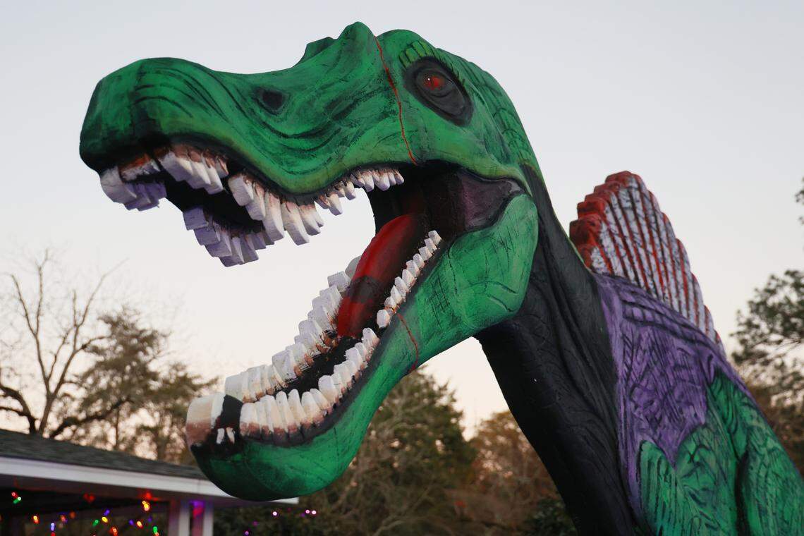 Christopher Price shows dinosaurs he made out of insulation foam outside his home on Wednesday, December 11, 2024. The dinosaurs are visible from Augusta Road in Lexington, South Carolina