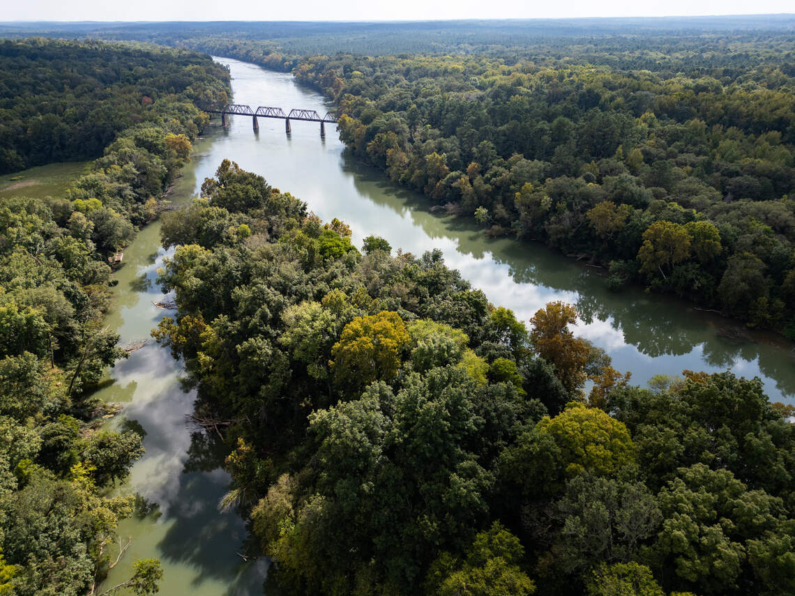 Wetlands damage at Scout Motors site costs taxpayers $60 million | The ...