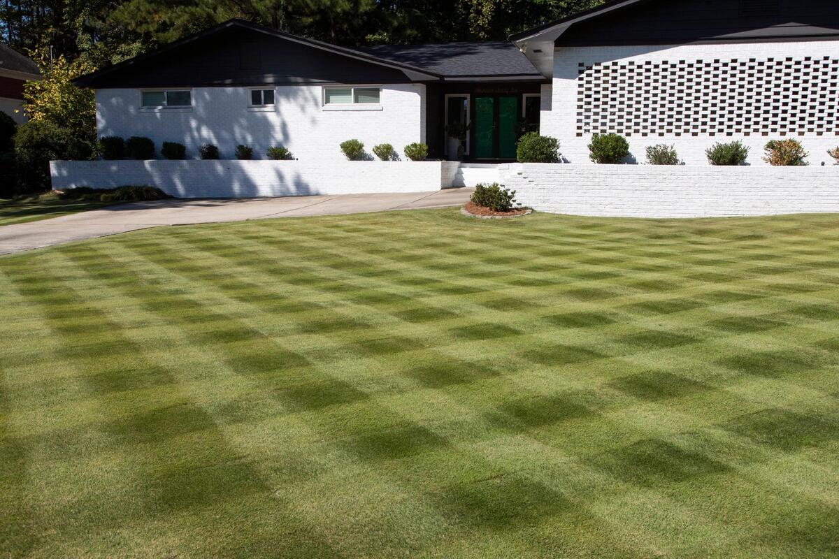 Readers of The State newspaper told us which lawns they think are the best around Columbia, South Carolina. This lawn in the north Columbia neighborhood was photographed on Friday, October 7, 2022.