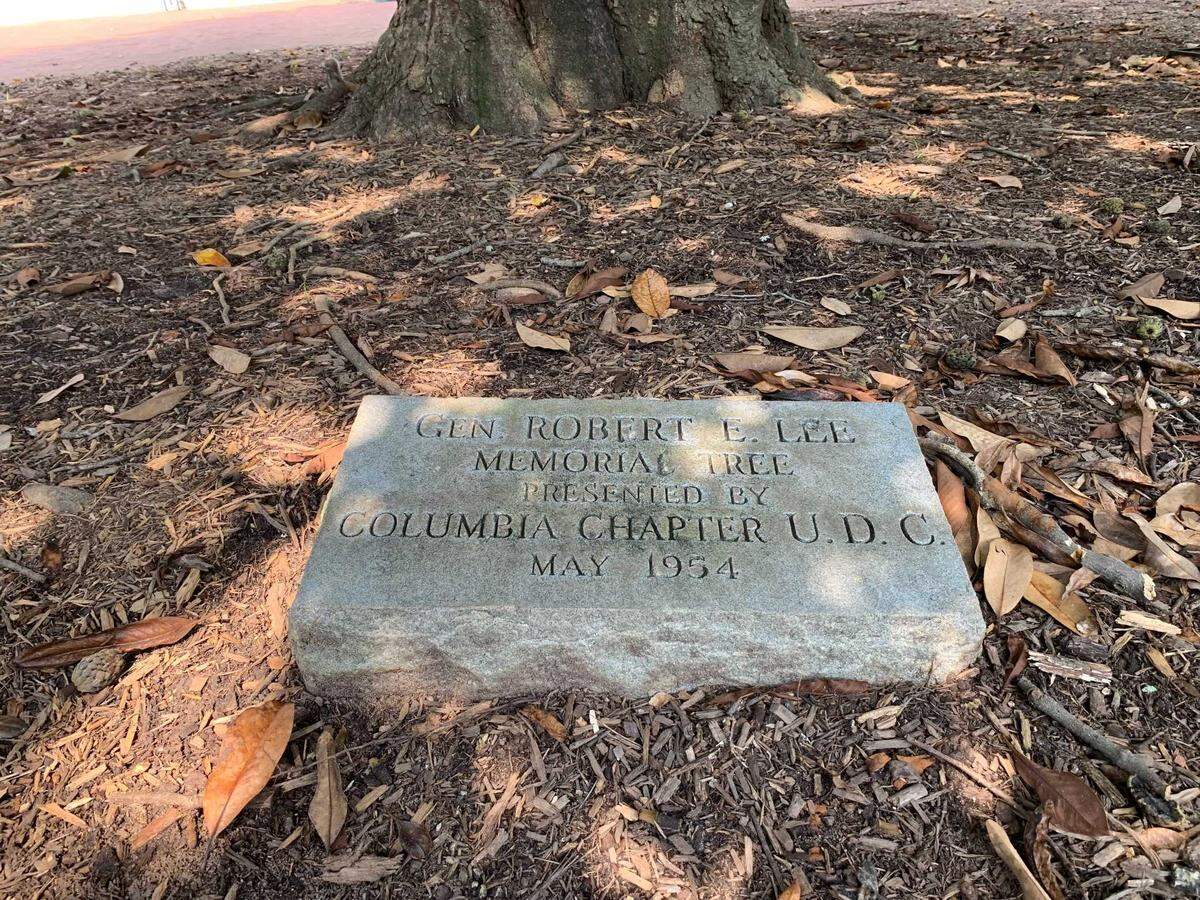 The Robert E. Lee tree on the campus of University of South Carolina in Columbia.