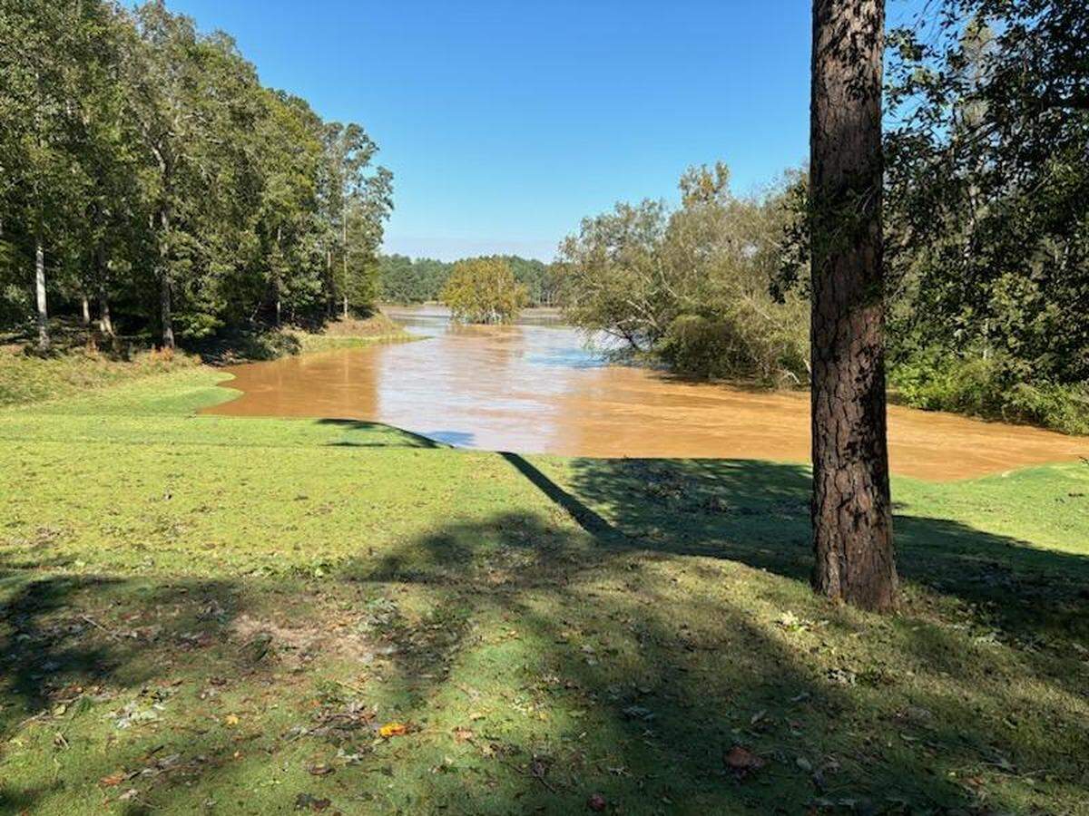 A view of No. 7 at Musgrove Mill with the Enoree River in the background.
