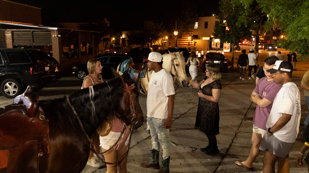 Five Points patrons mingle with horses brought to the commercial and retail village by Stephen Harmon on Wednesday, May 10, 2024.
