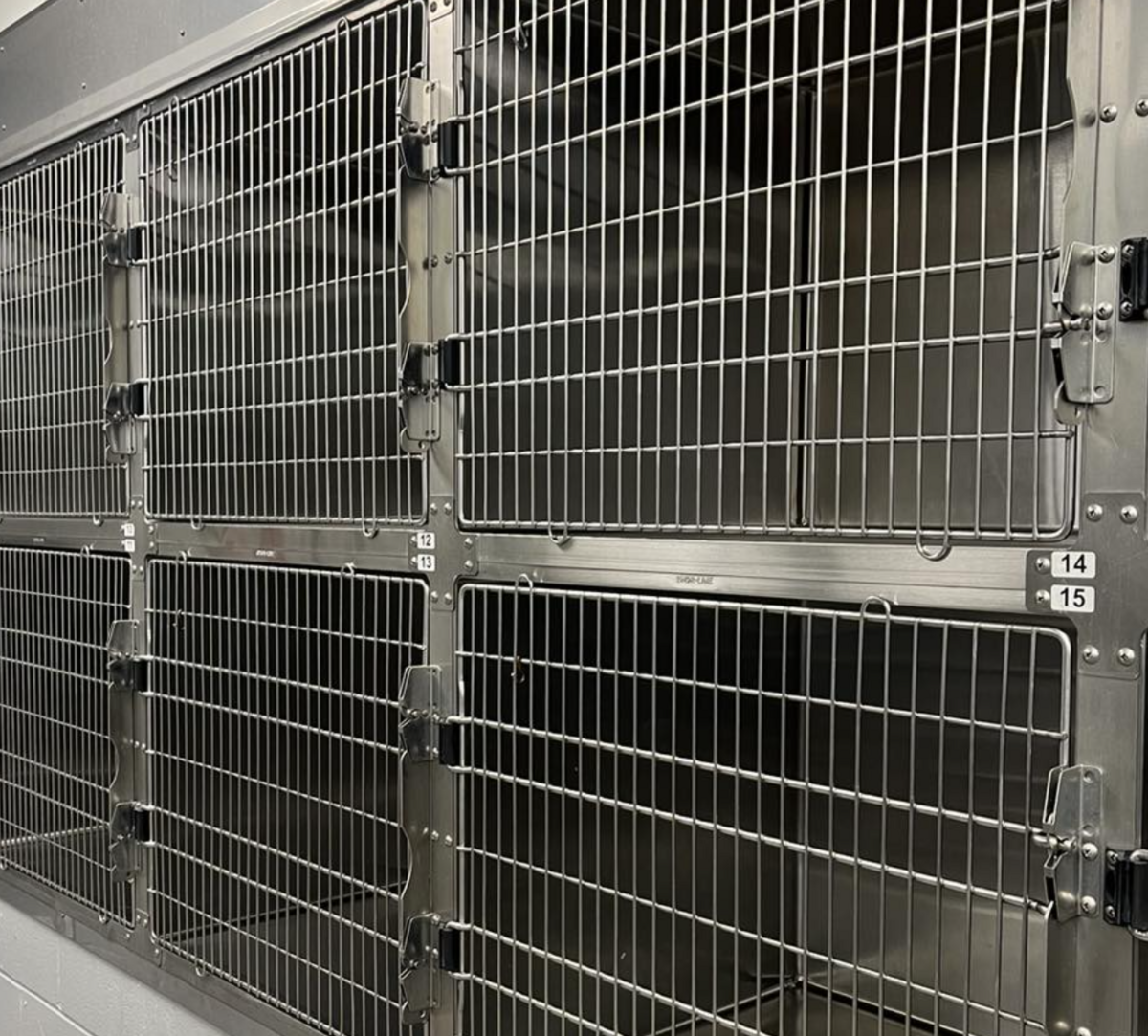 When the Greenville Humane Society lost power during Tropical Storm Helene the community responded.