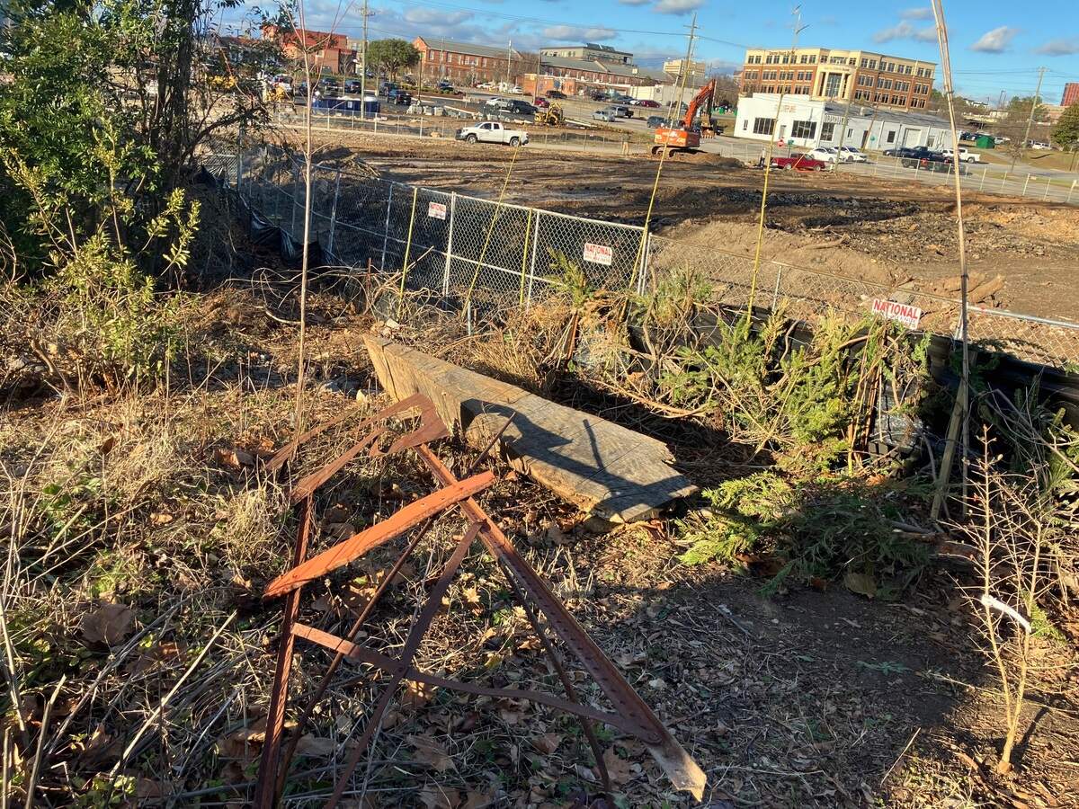 Clearing for a hotel project left a gaping hole in the tree canopy at Stormwater Studios in December 2024. Artists say several sculptures and a pollinator garden were damaged on the Stormwater property during the hotel work next door. The studio is working with the developer to make up for the impacts. The reddish metal in this photo was part of a sculpture that was damaged.