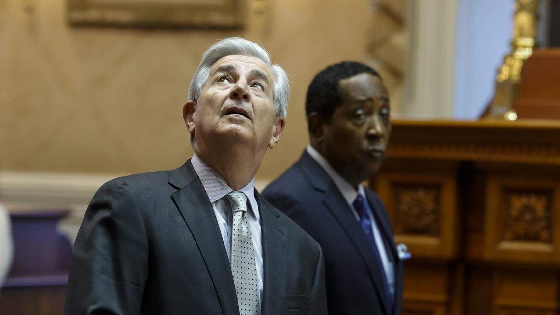 Sen. Nikki Setzler, D-Lexington looks up to the balcony during the opening session of the South Carolina Senate on Tuesday, January 10, 2024