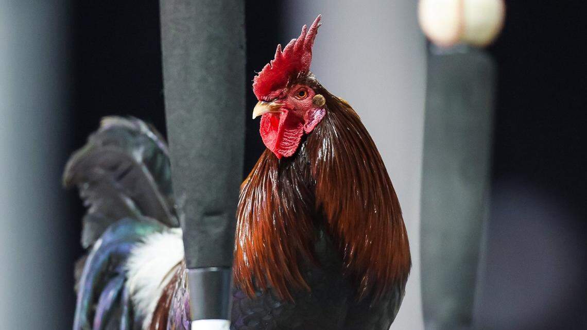 Now, he’s The General.