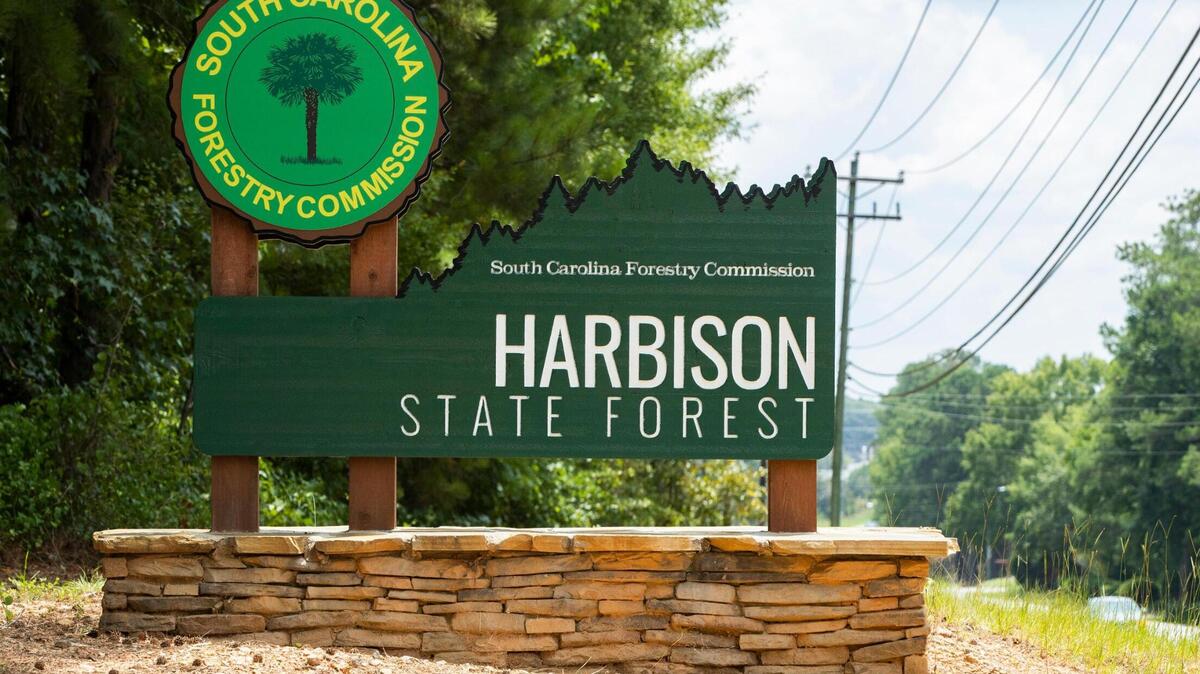 Harbison State Forest is a nature preserve in Columbia, SC