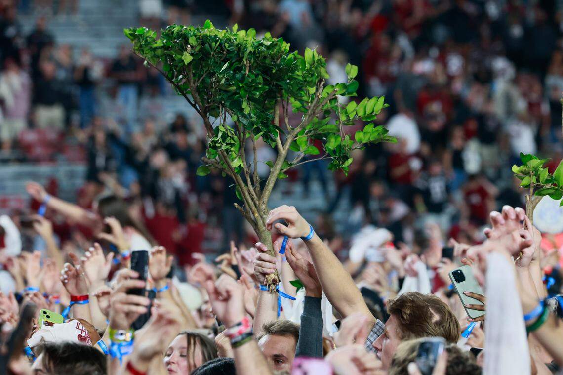 South Carolina fans rush the field after their team beat Texas A&M at Williams-Brice Stadium on Saturday, November 2, 2024.