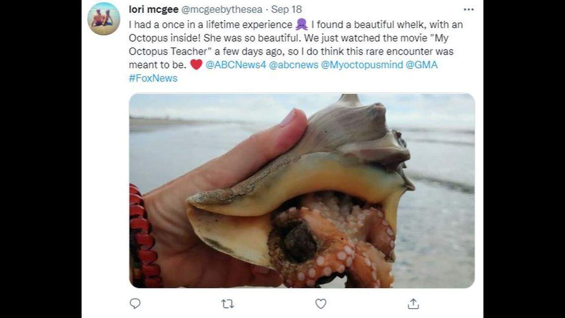 A South Carolina woman said she stumbled upon an octopus along the ocean.