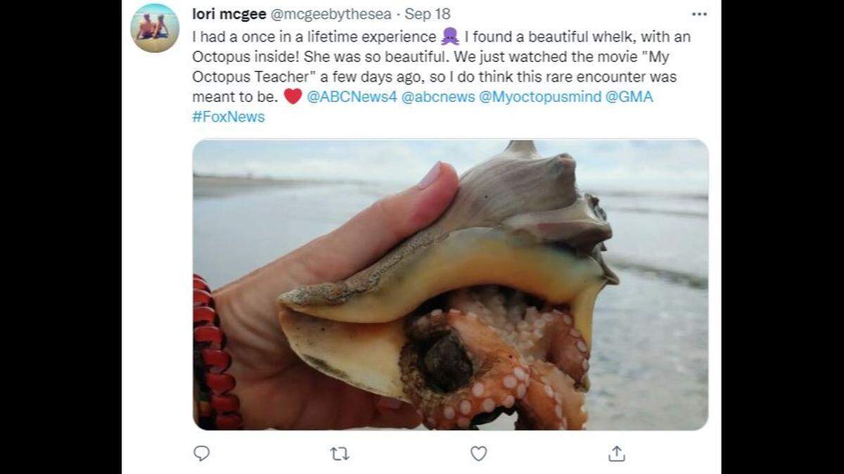 A South Carolina woman said she stumbled upon an octopus along the ocean.