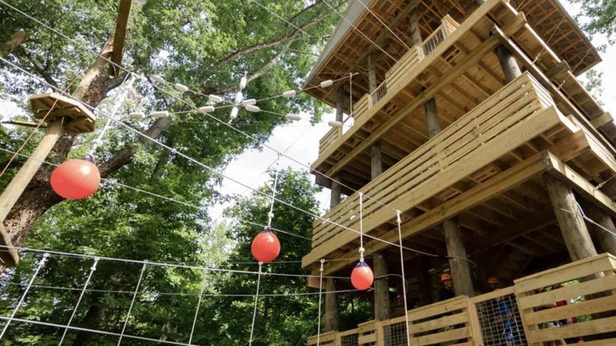 Flying Rabbit Adventures aerial course was named to the top 10 of such courses in the United States.