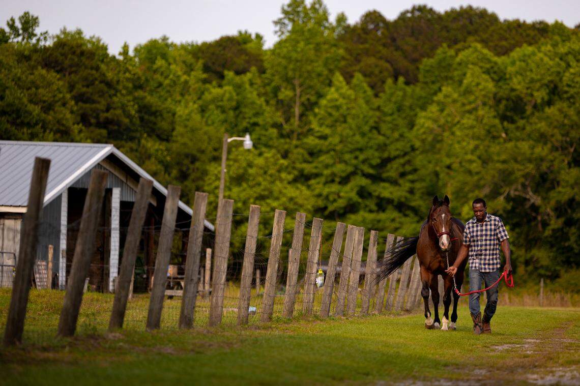 Harmon cares for Roadrunner in Hopkins on Wednesday, May 10, 2024.