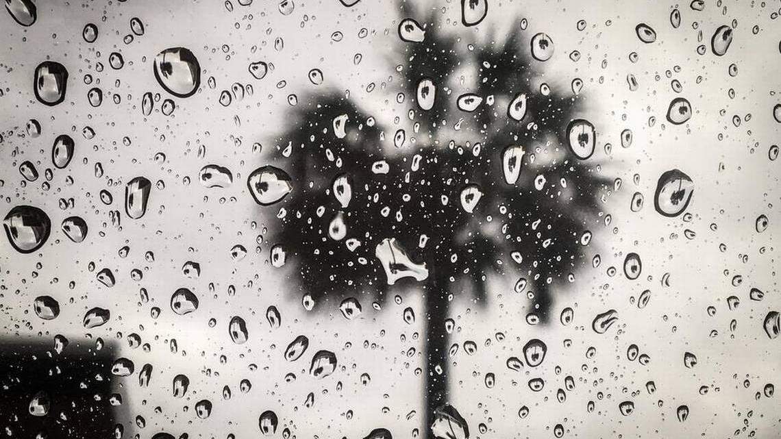 Heavy rain and gusty winds are headed to South Carolina soon, NWS says.