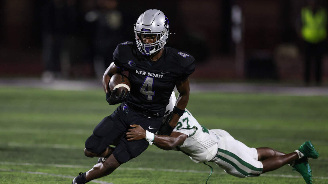 South Carolina football offers talented, young hometown receiving prospect