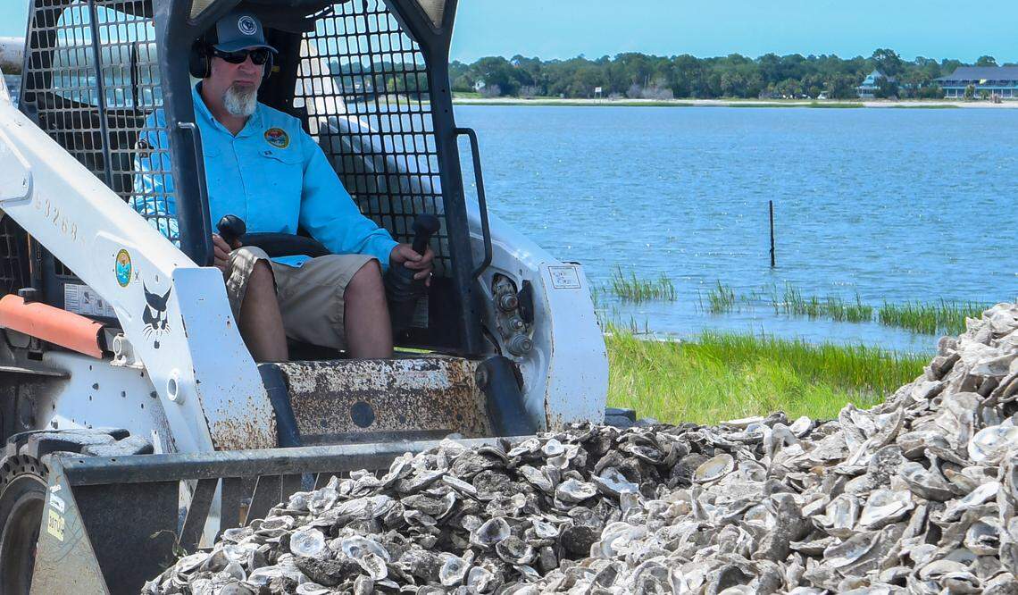 With Fripp Island in the background, Michael Hodges, a biologist with the S.C. Department of Natural Resources, uses the bucket of a front-end loader to scoop up oyster shells on Wednesday, July 7, 2022 at Russ Point Landing on Hunting Island. The oyster shells would be planted in the mud flats of Harbor River to create a surface that baby oysters can stick to and grow.
