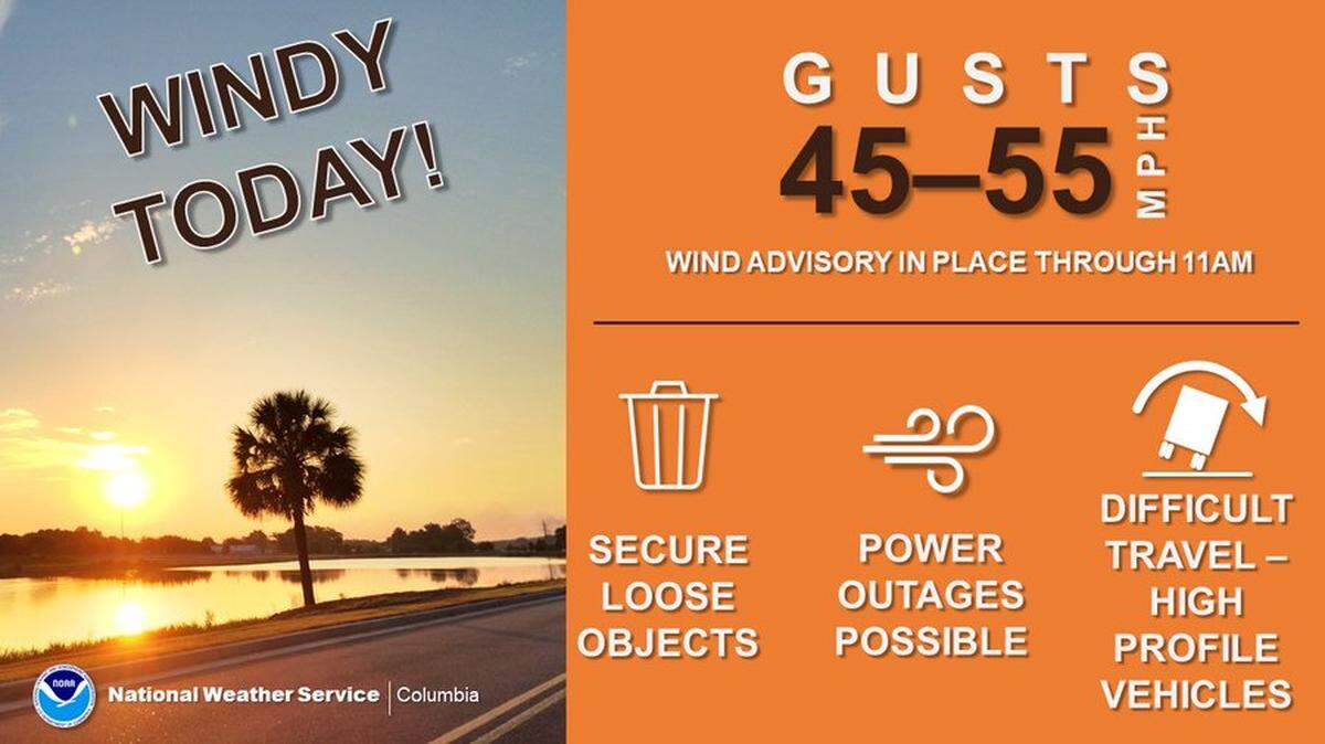 The National Weather Service issued a wind advisory for the Midlands.