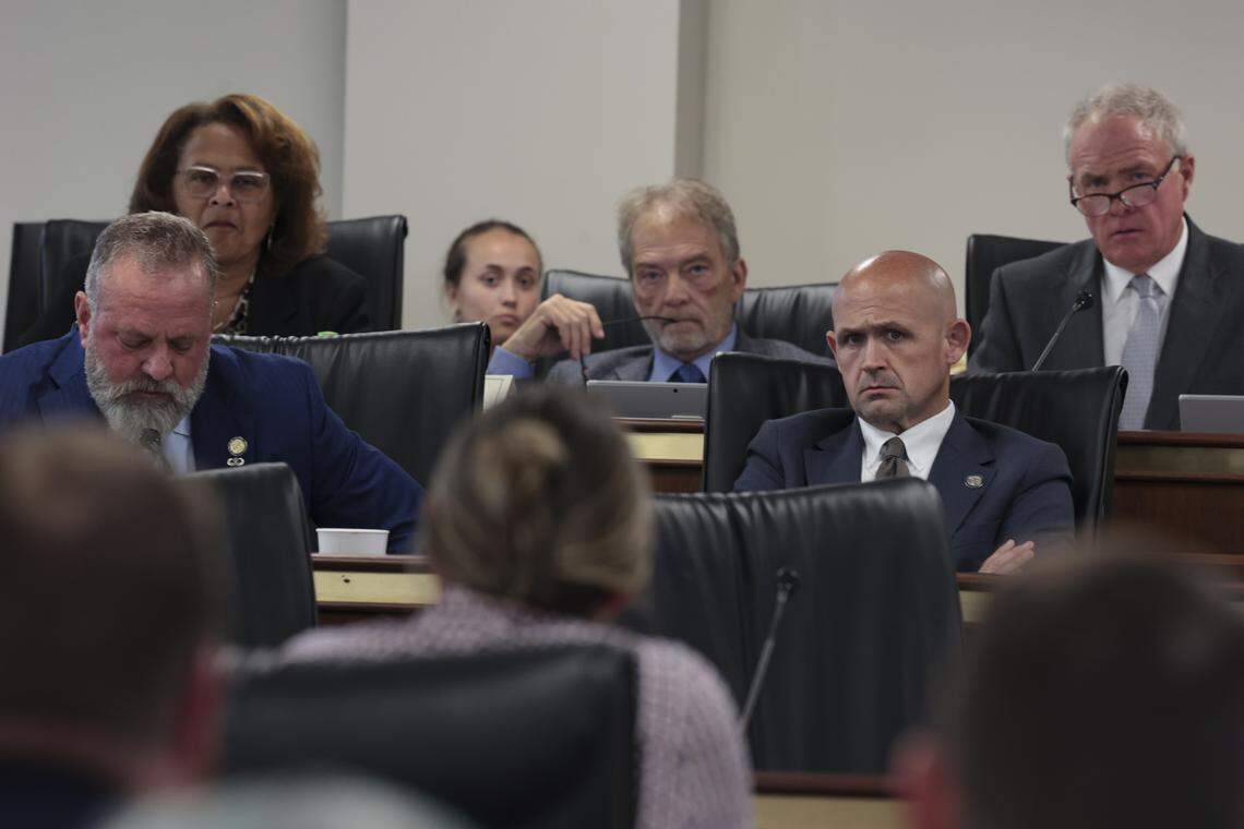 Members of the Senate Medical Affairs subcommittee listen as Dr. Elizabeth Nodelman speaks on Tuesday, April 14, 2026.