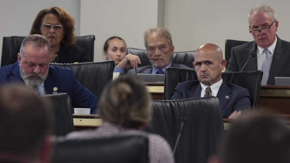 Members of the Senate Medical Affairs subcommittee listen as Dr. Elizabeth Nodelman speaks Tuesday, April 14, 2026. 