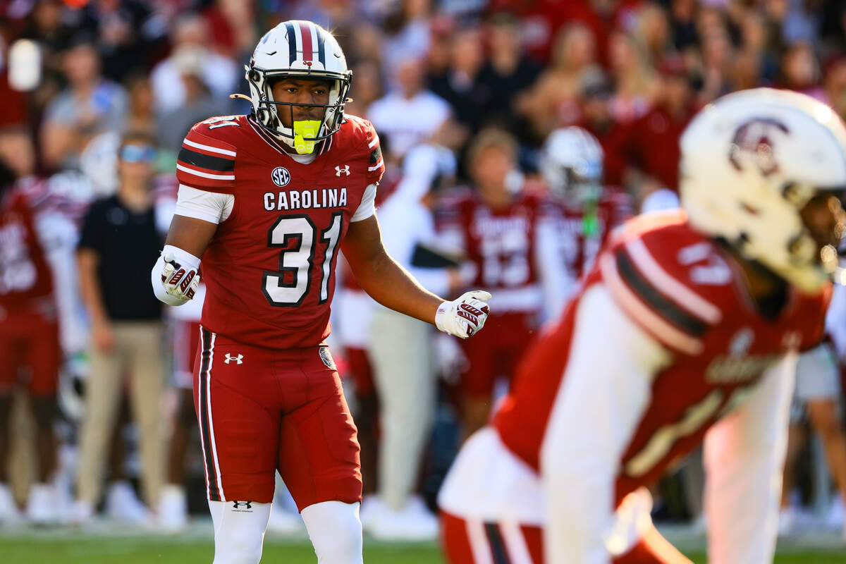 South Carolina defensive back Peyton Williams (31) plays Alabama at Williams-Brice Stadium on Saturday, October 25, 2025.