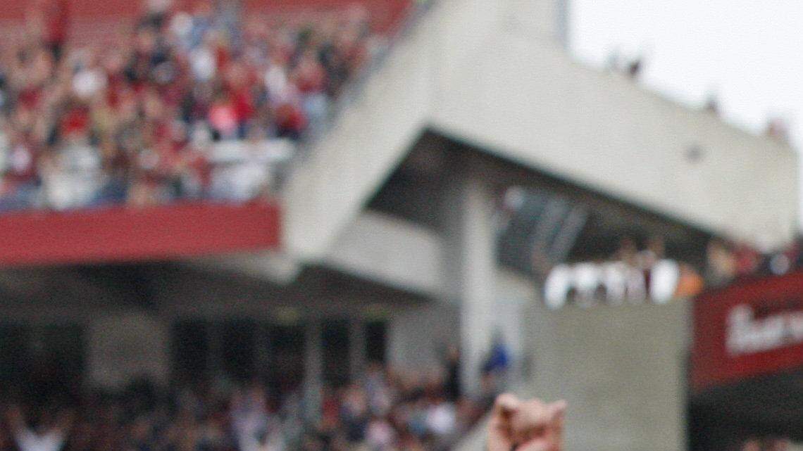 South Carolina Gamecocks wide receiver Ace Sanders (1) celebrates after scoring a touchdown in the third quarter of their game against the Vols at Williams-Brice Stadium, Saturday, October 27, 2012.