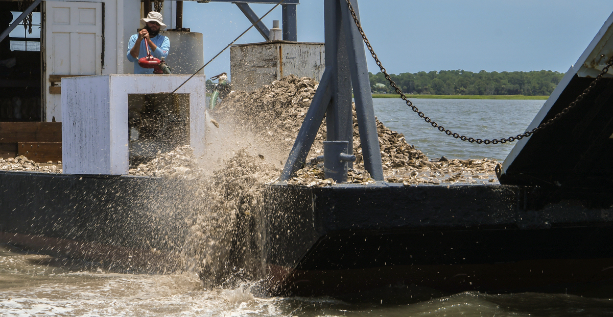 As Capt. Kevin Moseley, not pictured, navigates the barge from the pilothouse, his crew member and son-in-law Robert Potter uses a high pressure sea water cannon to disperse recycled oyster shells on Wednesday, July 7, 2022 into recreational state shellfish grounds in the mudflats of Harbor River. The oyster shells came from Beaufort County, as well as oyster selects from the Gulf of Mexico and Virginia.