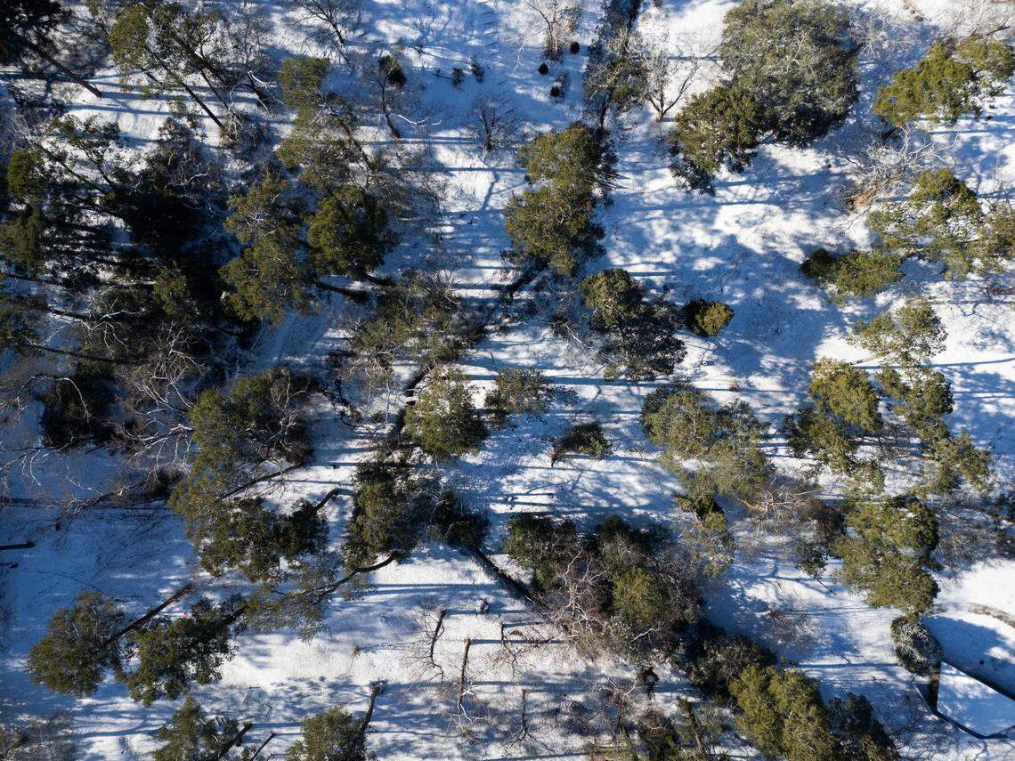 Earlewood Park in Columbia, South Carolina is covered in snow on Wednesday, January 22, 2025.