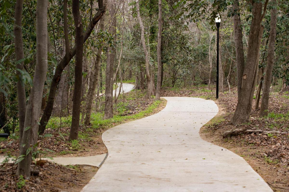 Boyd Island, a new park at the confluence of the Broad and Saluda Rivers on Thursday March 24, 2022. The park is home to native plants, and has seating where visitors can watch birds hunt in the meeting of the two rivers.