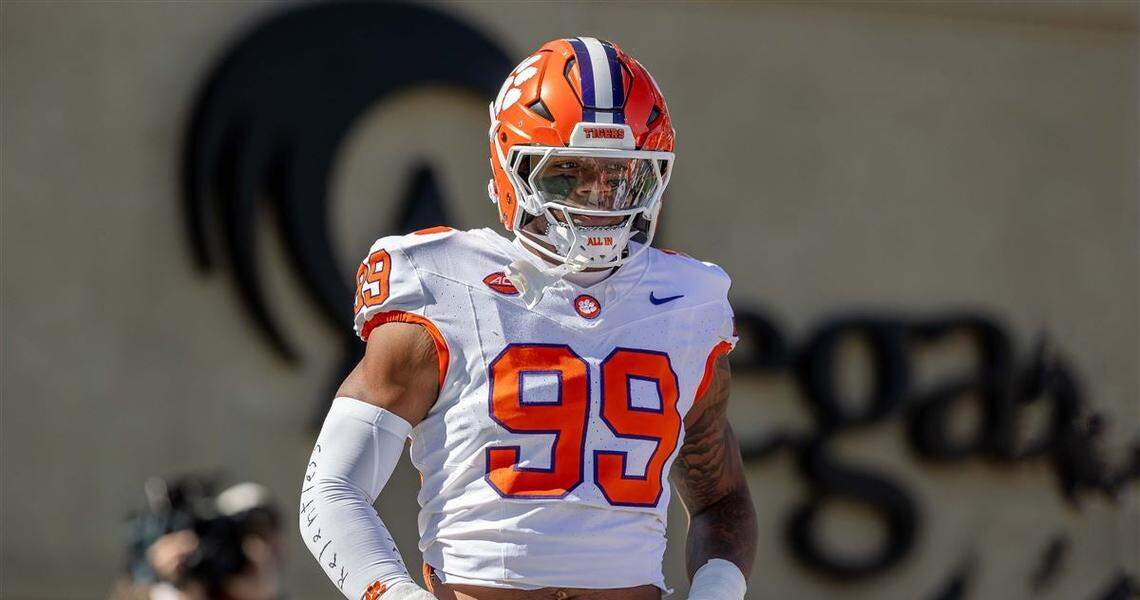 Clemson defensive end A.J. Hoffler during the 2024 season