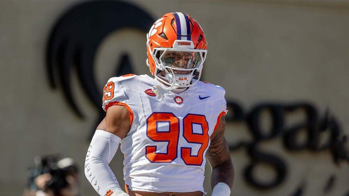 Clemson defensive end A.J. Hoffler during the 2024 season