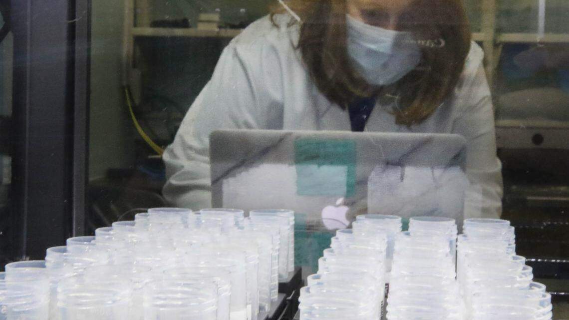 Coronavirus live updates: Here’s what to know in South Carolina on Aug. 21