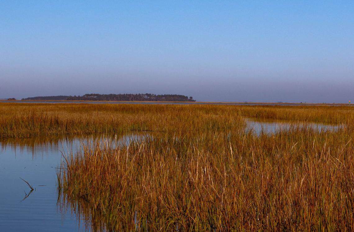 Salt marshes near Otter Island glistened in January.