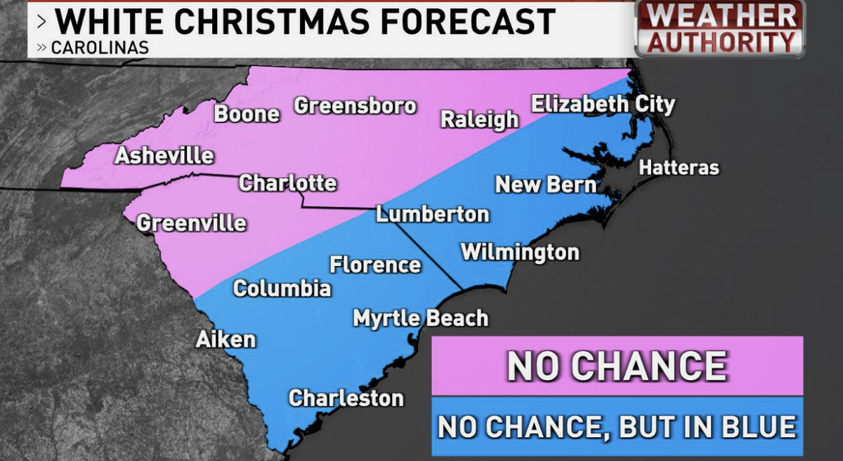 Meteorologist Ed Piotrowski of ABC-15 predicted Christmas Day snow in South Carolina using this map.