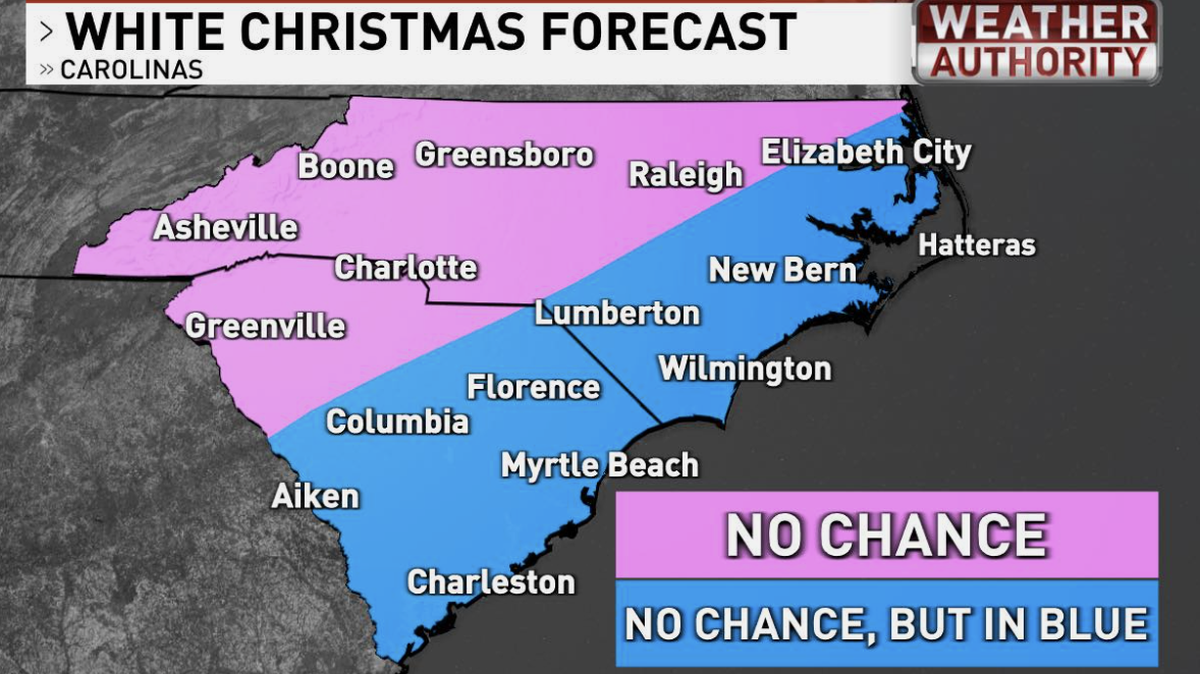Meteorologist Ed Piotrowski of ABC-15 predicted Christmas Day snow in South Carolina using this map.