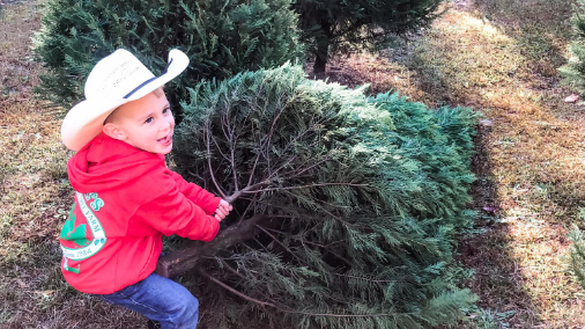 Wilder Moore, grandson of Bryan Price, the owner of Price’s Christmas Tree Farm, lends a hand.