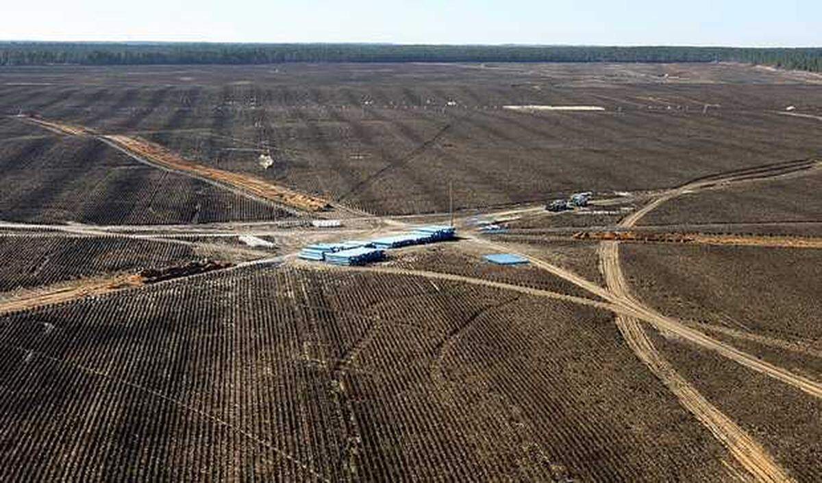 Megafarms clear land and grow crops to the horizon line. This file photo is of a mega farm in Aiken County.