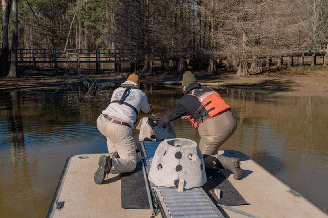 Personnel from the S.C. Department of Natural Resources deploy artificial reef balls into Lake Murray. Twenty-three of the concrete structures have been deployed in the lake.