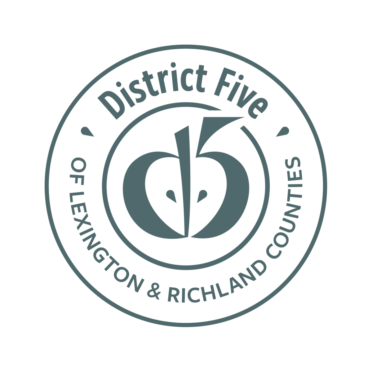 Lexington-Richland District 5