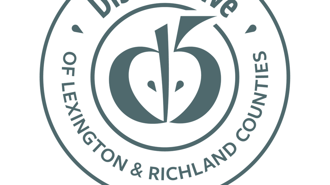 How Lexington-Richland 5 candidates see where school board has been — and where it’s going