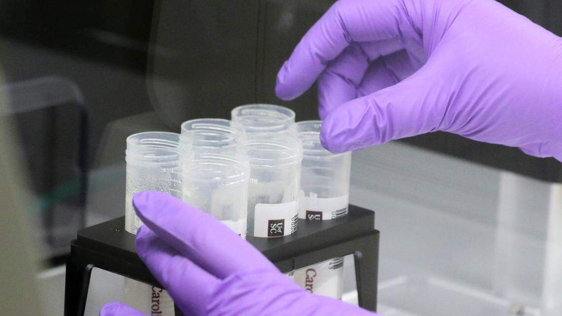 Coronavirus live updates: Here’s what to know in South Carolina on Aug. 25