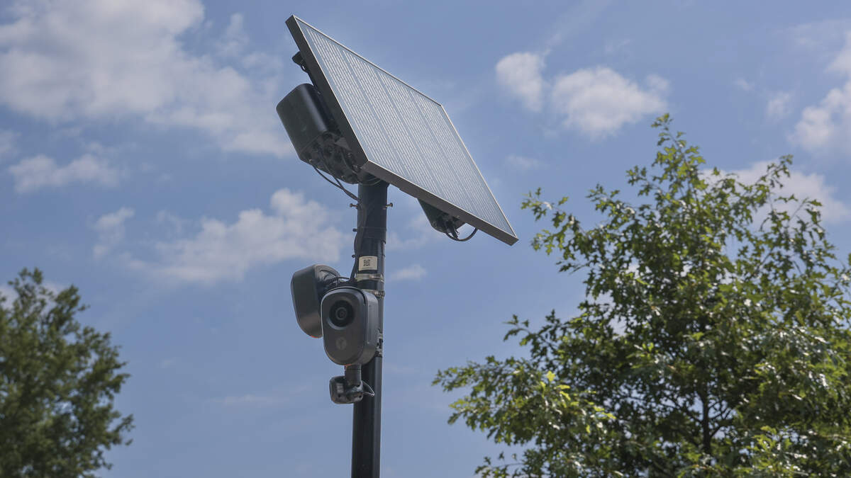 The town of Irmo is working to add 22 more license plate reader cameras. The cameras, often called Flock cameras after the brand name of a camera commonly used by law enforcement, are being marked with a flock of pink plastic flamingos in the town.