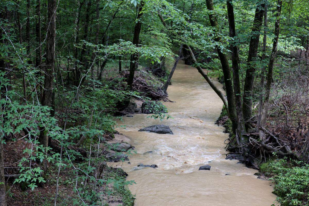 Muddy water flows down Beasley Creek in Blythewood near Turkey Farm Road on Tuesday, May 13, 2025. Beasley Creek is a major stream running off the Scout Motor vehicles construction site, which has been troubled by runoff pollution violations since work began three years ago.
