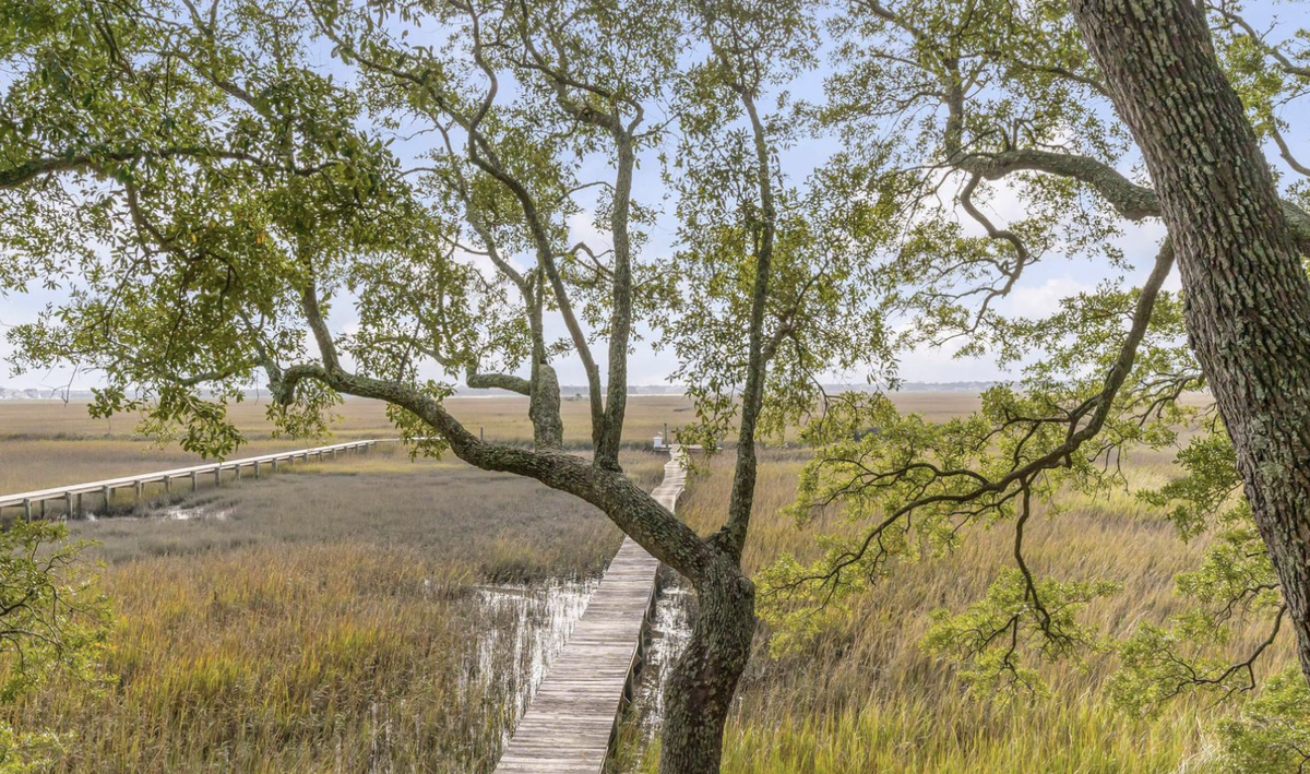 A long dock that leads to a creek that leads to The Cove at the end of Sullivan’s Island and ultimately to Charleston Harbor.