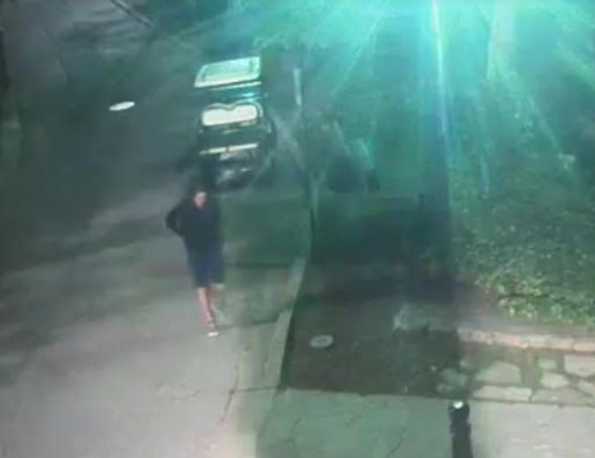 A suspect in the vandalizing of a Greenville statue is seen entering Falls Park.